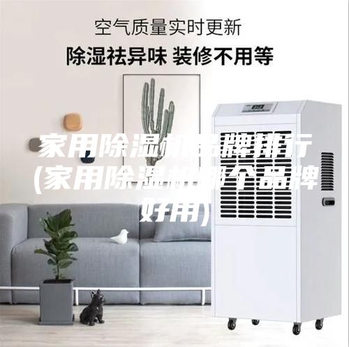 家用除濕機(jī)品牌排行(家用除濕機(jī)哪個(gè)品牌好用)