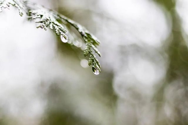 空氣濕度大帶來的危害有哪些，你知道嗎？