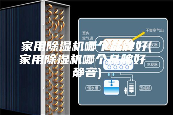 家用除濕機(jī)哪個品牌好(家用除濕機(jī)哪個品牌好 靜音)