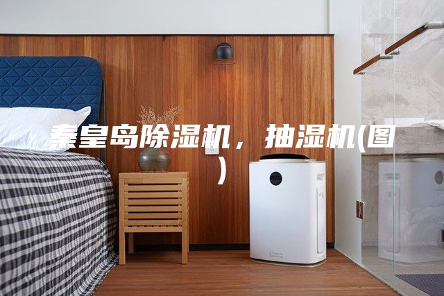 秦皇島除濕機(jī)，抽濕機(jī)(圖)