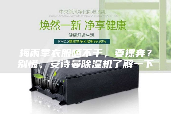 梅雨季衣服曬不干，要裸奔？別慌，安詩(shī)曼除濕機(jī)了解一下
