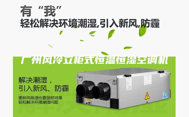 廣州風(fēng)冷立柜式恒溫恒濕空調(diào)機
