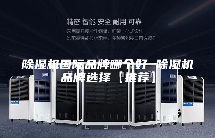 除濕機(jī)國際品牌哪個好 除濕機(jī)品牌選擇【推薦】