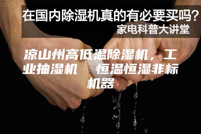 涼山州高低溫除濕機(jī)，工業(yè)抽濕機(jī)  恒溫恒濕非標(biāo)機(jī)器