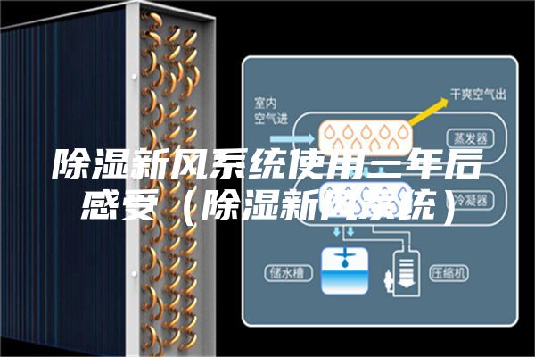 除濕新風(fēng)系統(tǒng)使用三年后感受（除濕新風(fēng)系統(tǒng)）