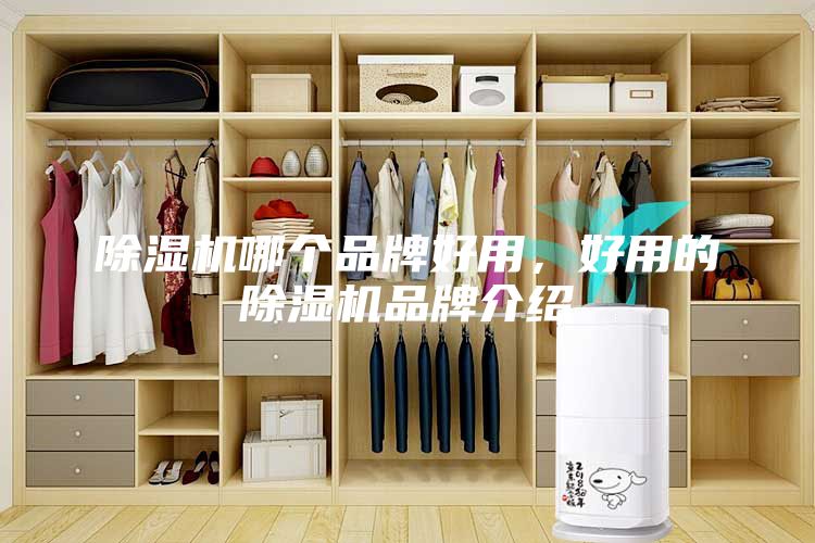 除濕機(jī)哪個(gè)品牌好用，好用的除濕機(jī)品牌介紹