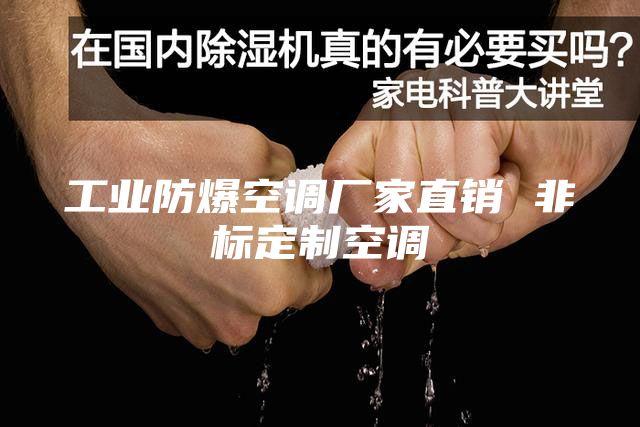 工業(yè)防爆空調(diào)廠家直銷(xiāo) 非標(biāo)定制空調(diào)
