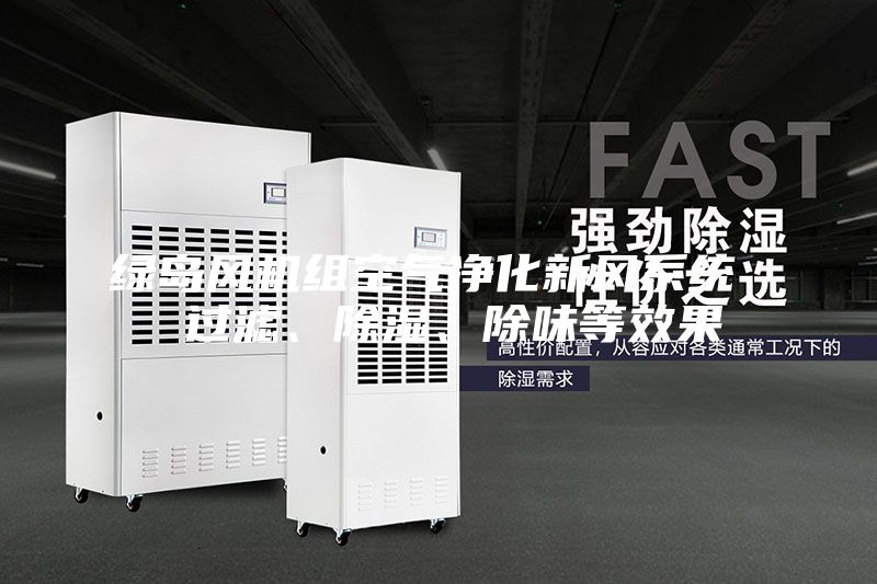 綠島風(fēng)機(jī)組空氣凈化新風(fēng)系統(tǒng)  過濾、除濕、除味等效果