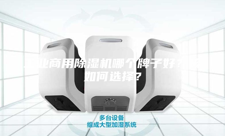 工業(yè)商用除濕機哪個牌子好？該如何選擇？