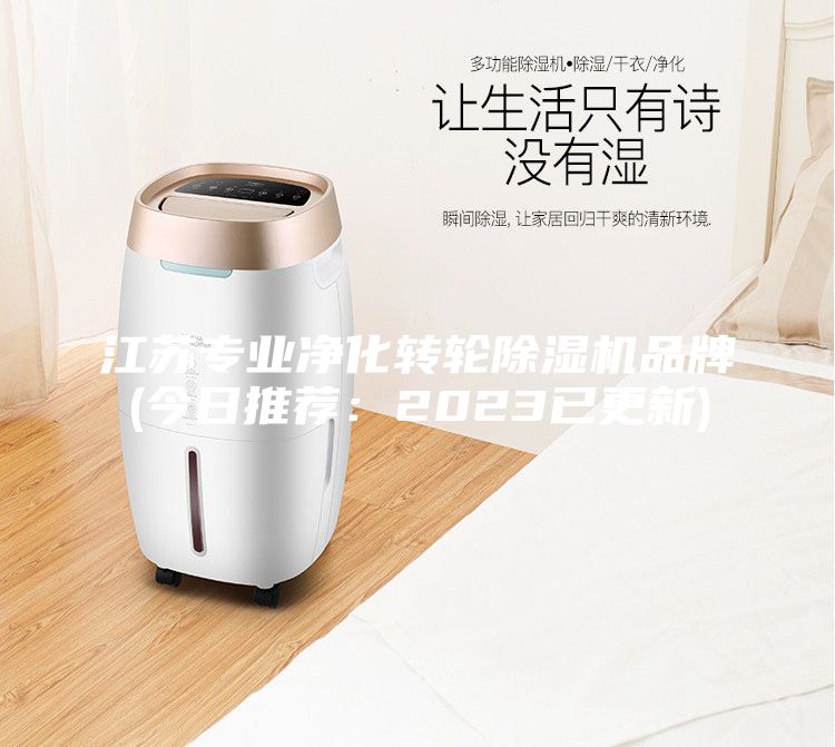 江蘇專(zhuān)業(yè)凈化轉(zhuǎn)輪除濕機(jī)品牌(今日推薦：2023已更新)