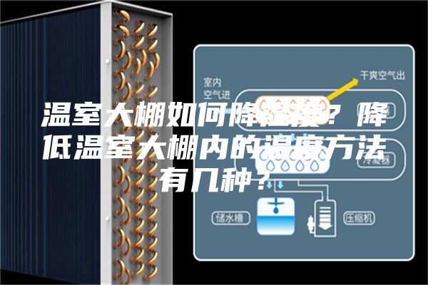 溫室大棚如何降濕度？降低溫室大棚內(nèi)的濕度方法有幾種？