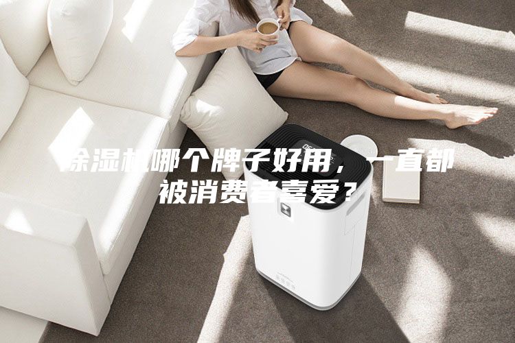 除濕機(jī)哪個(gè)牌子好用，一直都被消費(fèi)者喜愛？