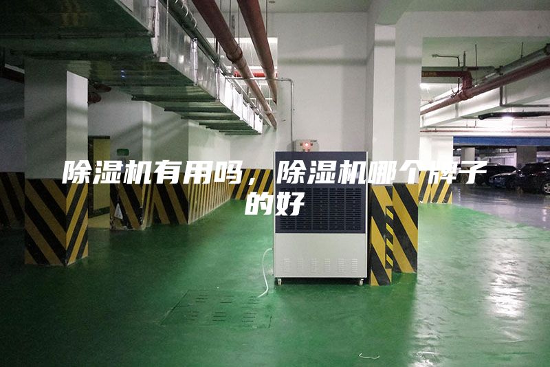 除濕機(jī)有用嗎，除濕機(jī)哪個牌子的好