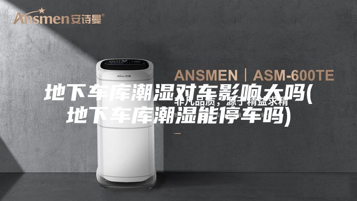 地下車庫(kù)潮濕對(duì)車影響大嗎(地下車庫(kù)潮濕能停車嗎)