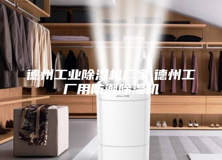 德州工業(yè)除濕機廠家,德州工廠用防潮除濕機