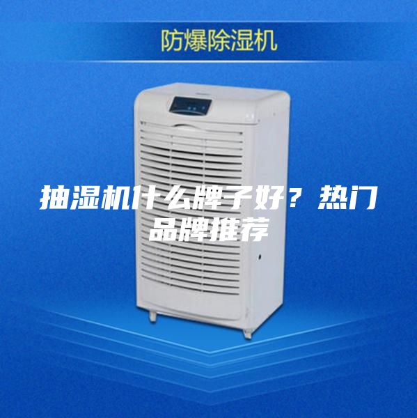 抽濕機什么牌子好？熱門品牌推薦