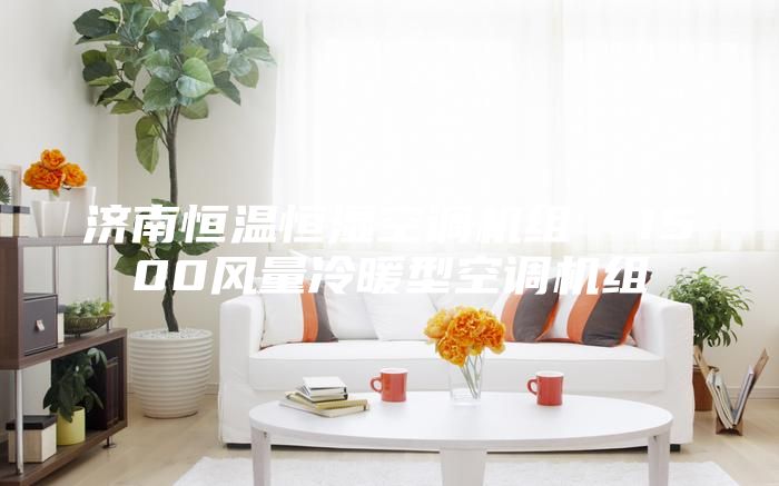 濟南恒溫恒濕空調(diào)機組  1500風(fēng)量冷暖型空調(diào)機組