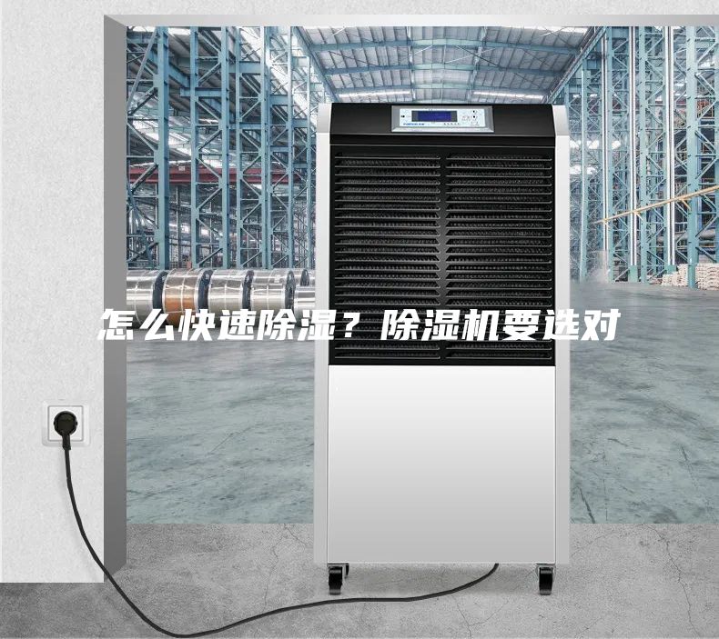 怎么快速除濕？除濕機要選對