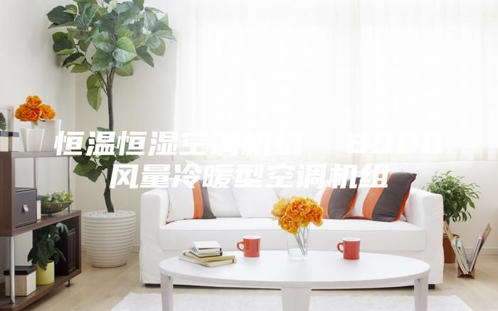 恒溫恒濕空調(diào)機組  6000風量冷暖型空調(diào)機組