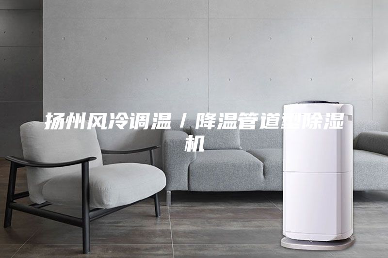 揚(yáng)州風(fēng)冷調(diào)溫／降溫管道型除濕機(jī)