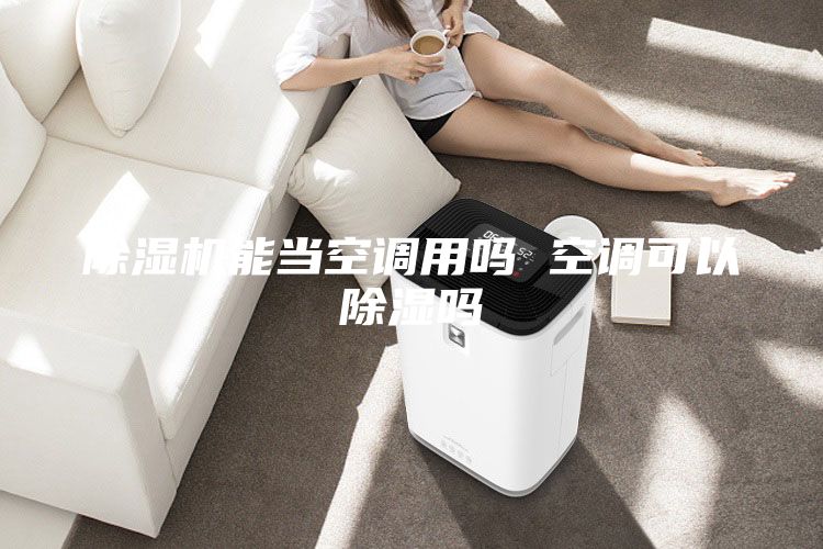 除濕機(jī)能當(dāng)空調(diào)用嗎 空調(diào)可以除濕嗎
