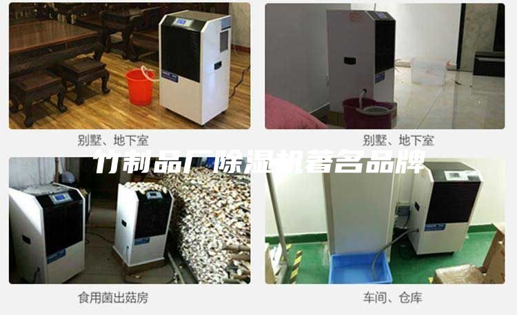 竹制品廠除濕機(jī)著名品牌