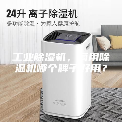 工業(yè)除濕機，商用除濕機哪個牌子好用？