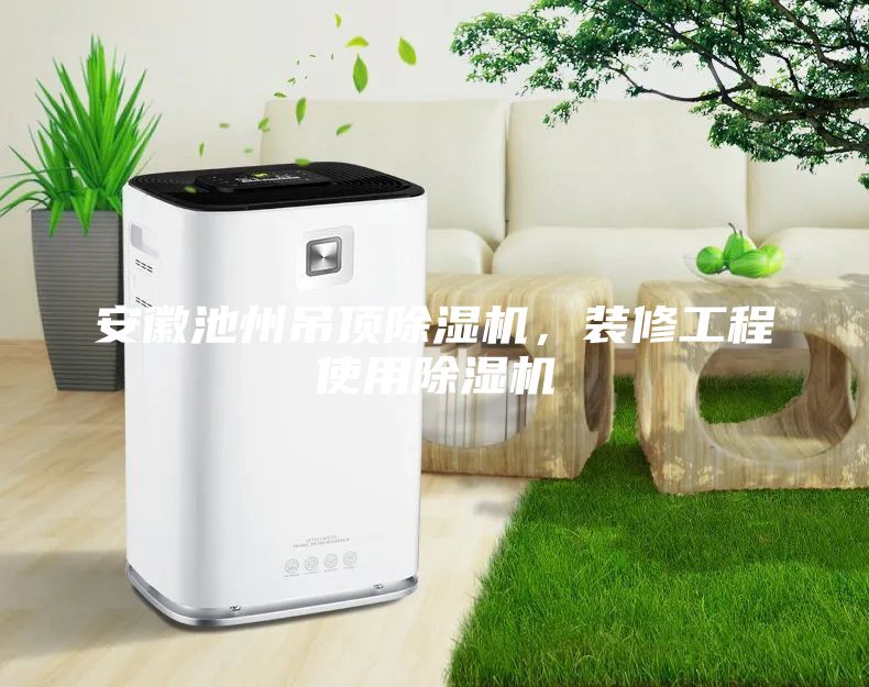 安徽池州吊頂除濕機(jī)，裝修工程使用除濕機(jī)