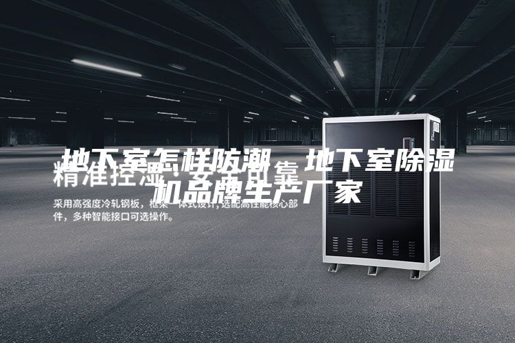 地下室怎樣防潮，地下室除濕機(jī)品牌生產(chǎn)廠家