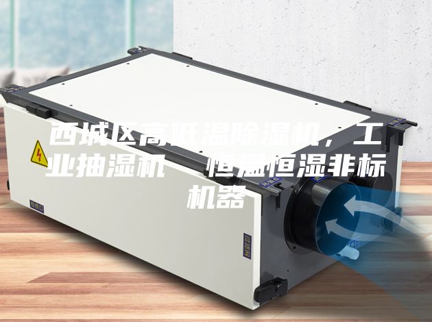 西城區(qū)高低溫除濕機(jī)，工業(yè)抽濕機(jī)  恒溫恒濕非標(biāo)機(jī)器