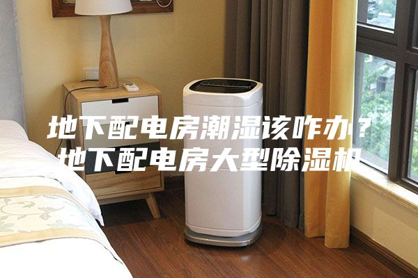 地下配電房潮濕該咋辦？地下配電房大型除濕機