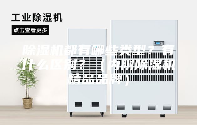 除濕機(jī)都有哪些類(lèi)型？有什么區(qū)別？（內(nèi)附除濕機(jī)精品品牌）