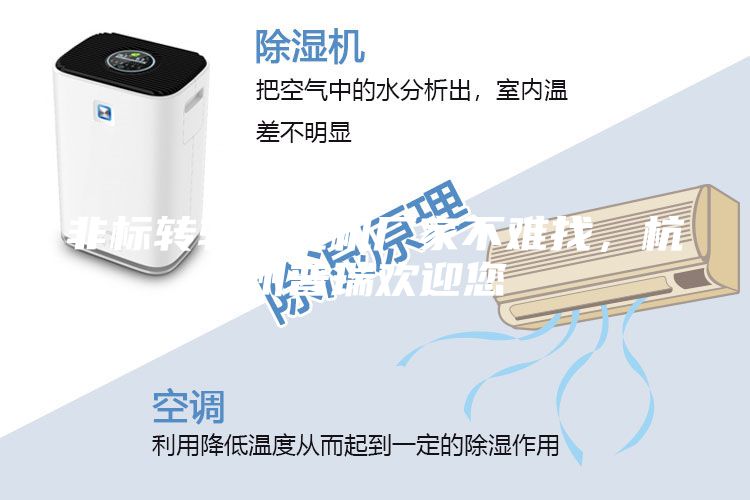 非標(biāo)轉(zhuǎn)輪除濕機(jī)廠家不難找，杭州普瑞歡迎您