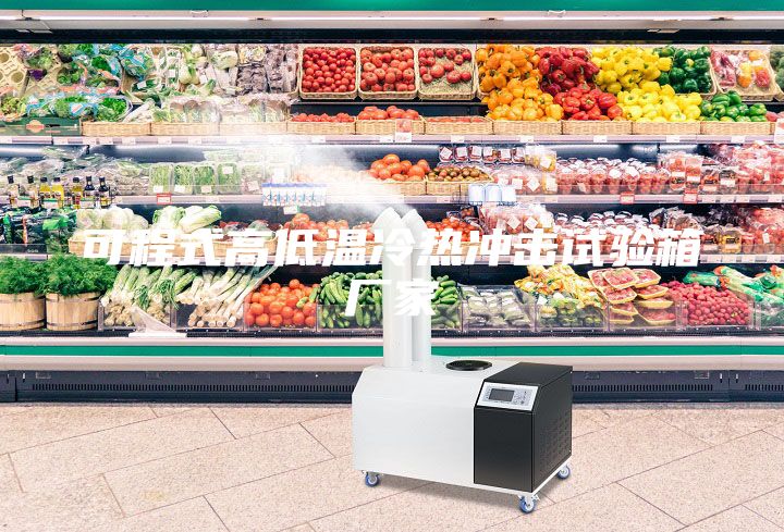 可程式高低溫冷熱沖擊試驗(yàn)箱廠家