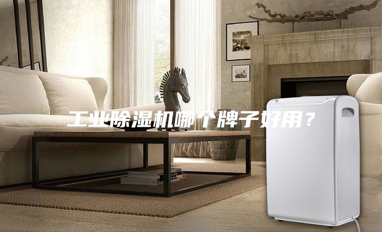工業(yè)除濕機哪個牌子好用？