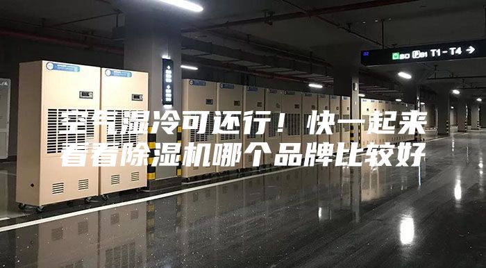 空氣濕冷可還行！快一起來(lái)看看除濕機(jī)哪個(gè)品牌比較好