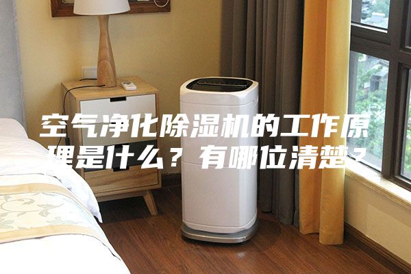 空氣凈化除濕機的工作原理是什么？有哪位清楚？