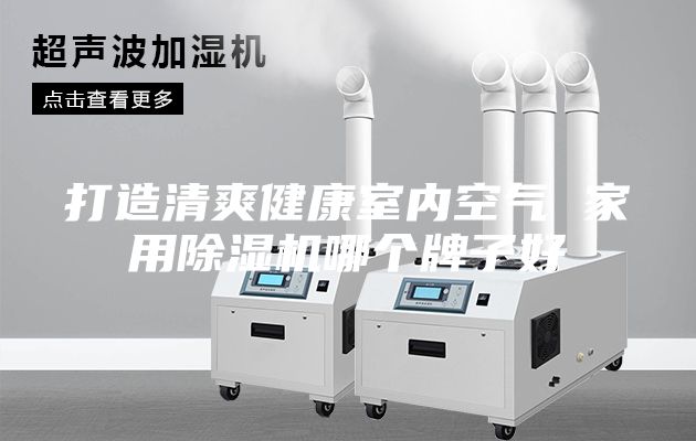 打造清爽健康室內(nèi)空氣 家用除濕機(jī)哪個牌子好