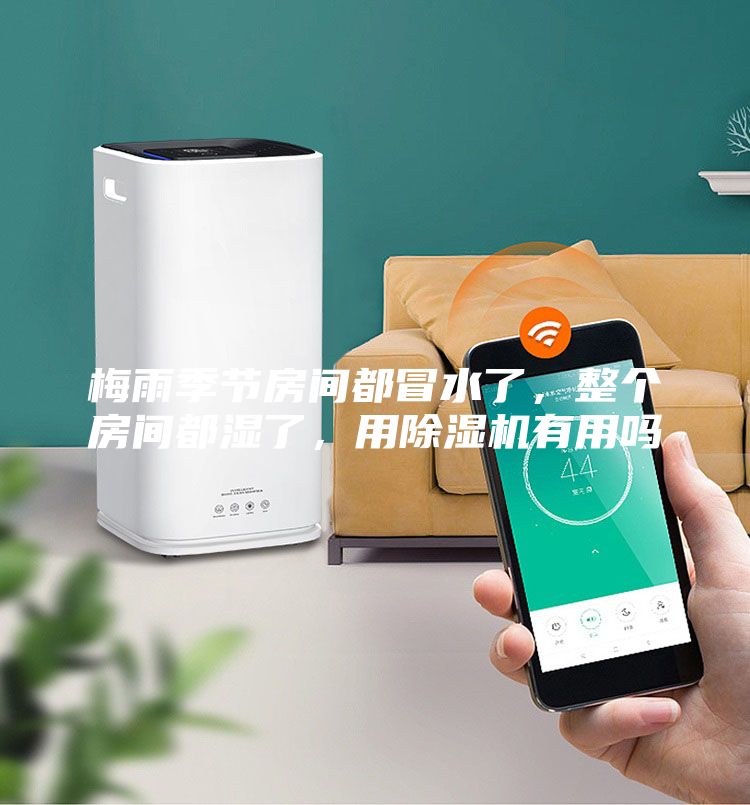 梅雨季節(jié)房間都冒水了，整個(gè)房間都濕了，用除濕機(jī)有用嗎