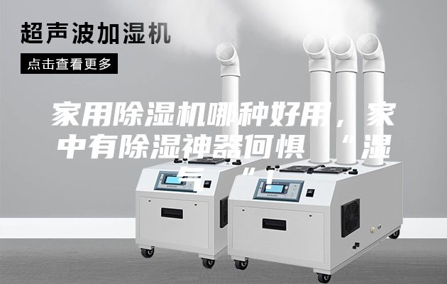 家用除濕機(jī)哪種好用，家中有除濕神器何懼 “濕氣 “！