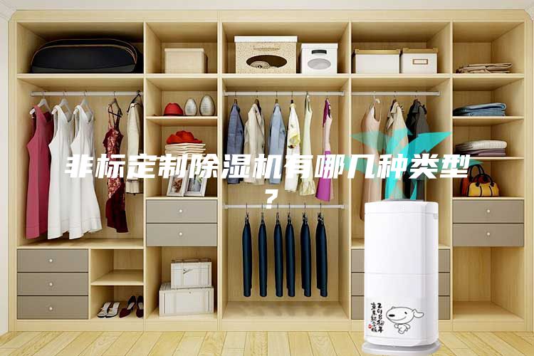 非標(biāo)定制除濕機(jī)有哪幾種類型？