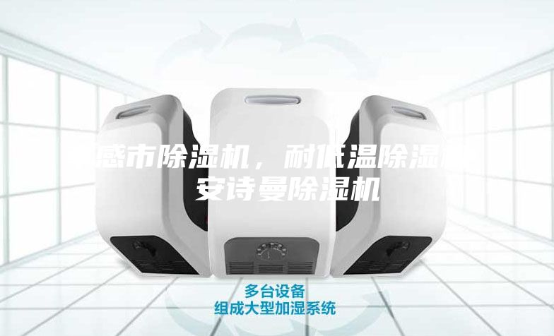 孝感市除濕機，耐低溫除濕機  安詩曼除濕機