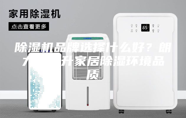 除濕機品牌選擇什么好？朗力信提升家居除濕環(huán)境品質(zhì)