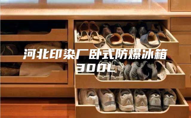 河北印染廠臥式防爆冰箱300L
