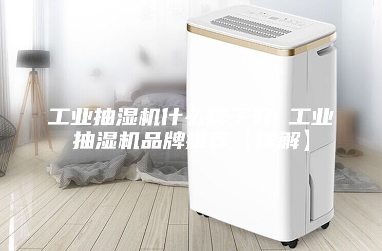 工業(yè)抽濕機什么牌子好 工業(yè)抽濕機品牌推薦【詳解】