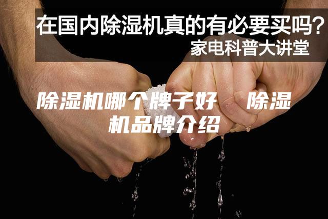 除濕機哪個牌子好  除濕機品牌介紹