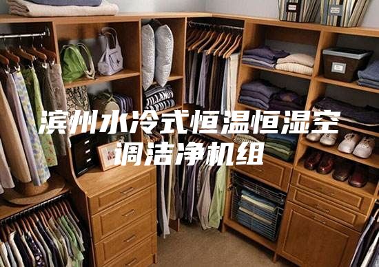 濱州水冷式恒溫恒濕空調(diào)潔凈機組