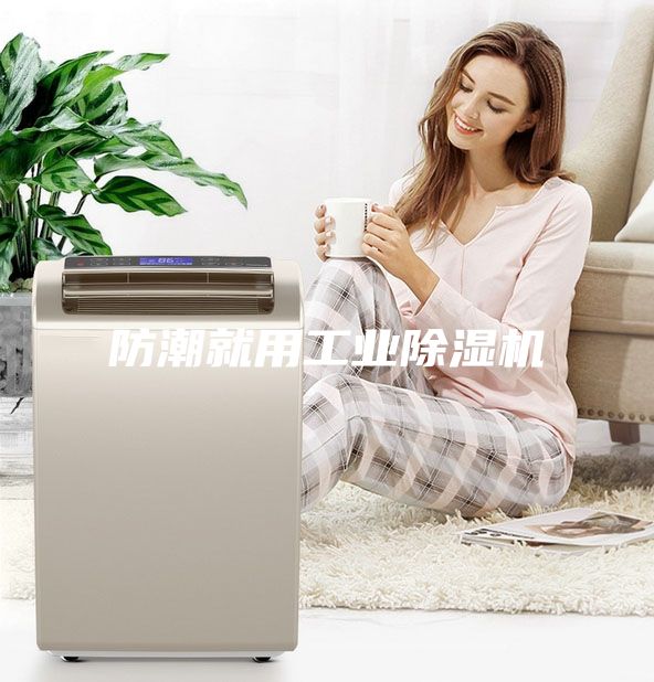 防潮就用工業(yè)除濕機(jī)