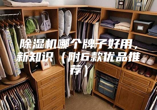 除濕機(jī)哪個(gè)牌子好用，新知識(shí)（附6款優(yōu)品推薦）