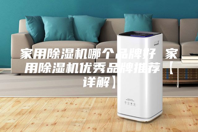 家用除濕機(jī)哪個品牌好 家用除濕機(jī)優(yōu)秀品牌推薦【詳解】
